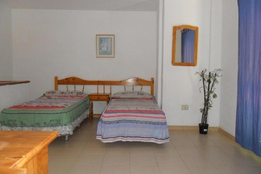 Apartamentos Alondras Park Costa Del Silencio Ngoại thất bức ảnh
